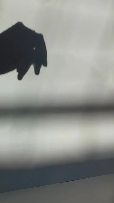 Vertical view of the shadow of a hand rubbing soap. Stock Footage 329787353