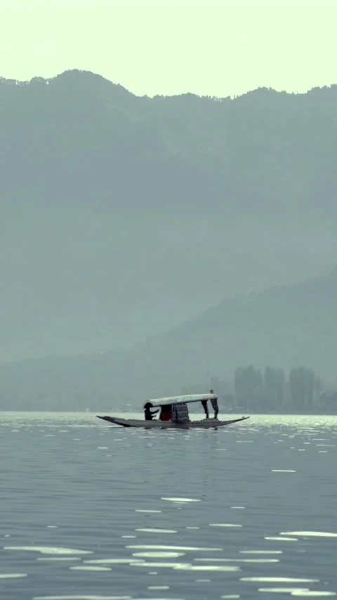 Vertical View of Shikara Boat on Dal Lake Srinagar Kashmir India 스톡 동영상 335115378