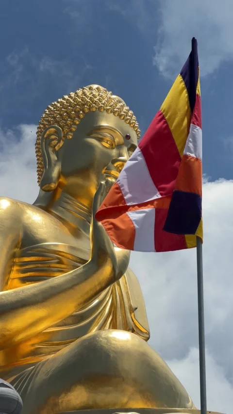 Vertical view shows golden Buddha statue close with raised hand gesture against Stock Footage 338001090