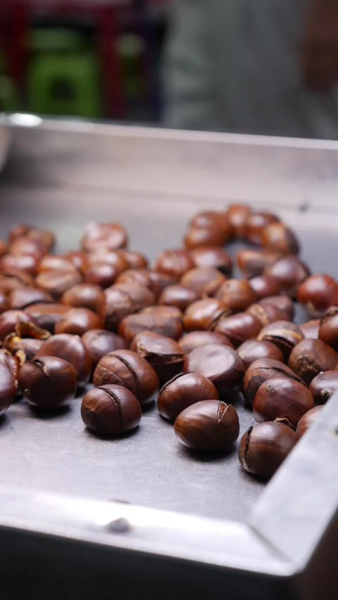 Vertical view shows roasted chestnuts arranged across a metal tray on a selling Stock Footage 338001251