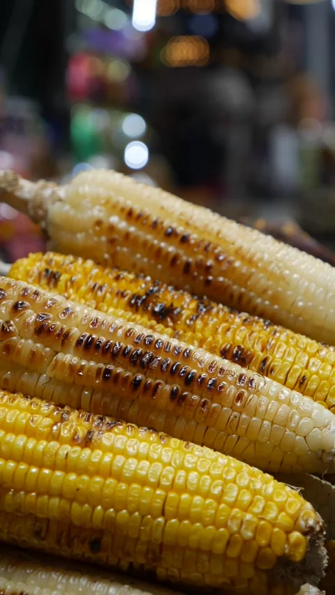 Vertical view shows several roasted corn cobs resting on a metal grill at a Vidéo 334661227