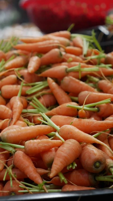 Vertical view shows small carrots arranged in a loose pile across a market 動画素材 334661194