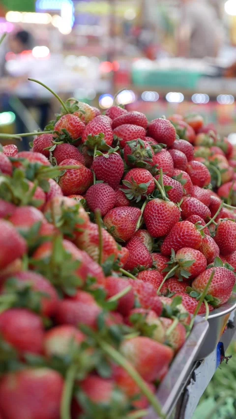 Vertical view shows strawberries arranged in rows across a public retail surface Video stock 335206328