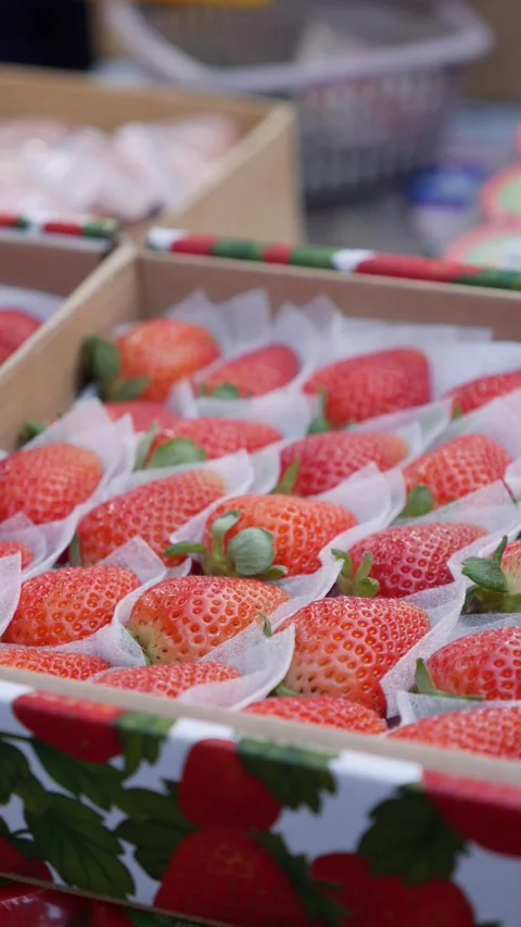 Vertical view shows strawberries placed inside decorative packaging on a public Stock Footage 334854294