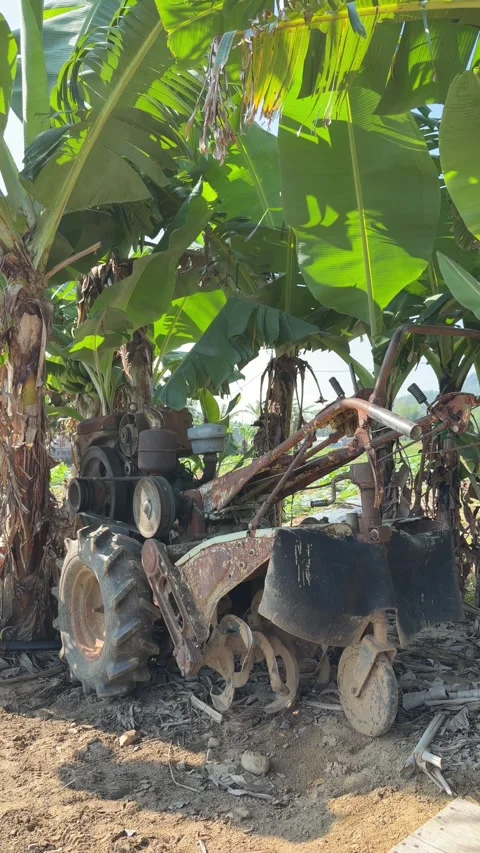 Vertical view shows the wheel and blade assembly of a compact tiller placed near Stock Footage 335759851