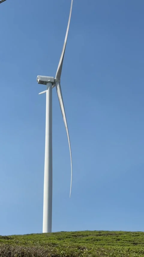 Vertical view shows a wind turbine rotating above plantation terrain forming an Stock-Footage 334854234