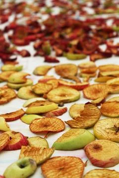 Vertical view of sliced green and red apples drying on cloth for winter nut.. Stock Photos