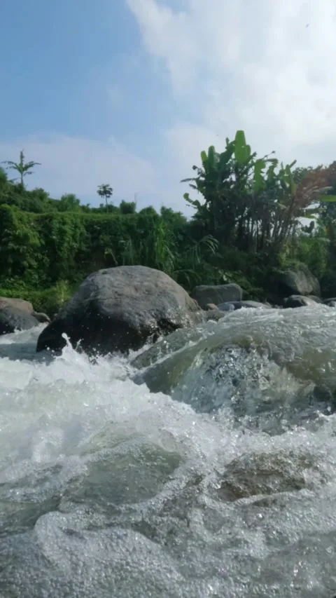 Vertical view slow motion of a clear flowing mountain river on river rocks Stock Footage 320984898