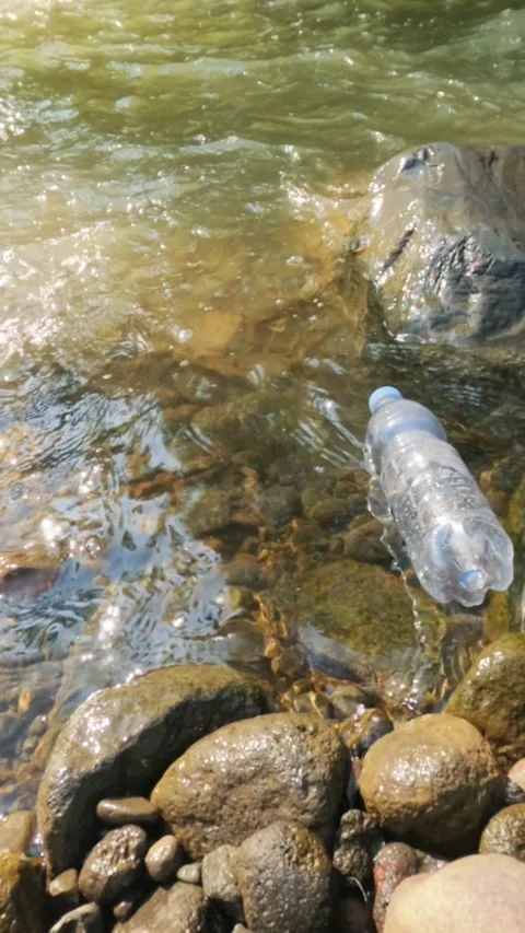 Vertical view slow motion of plastic bottle waste floating on the river bank Stock Footage 319885681