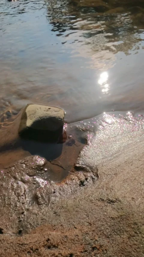 Vertical view slow motion river bank with sparkling water Stock Footage 319885701
