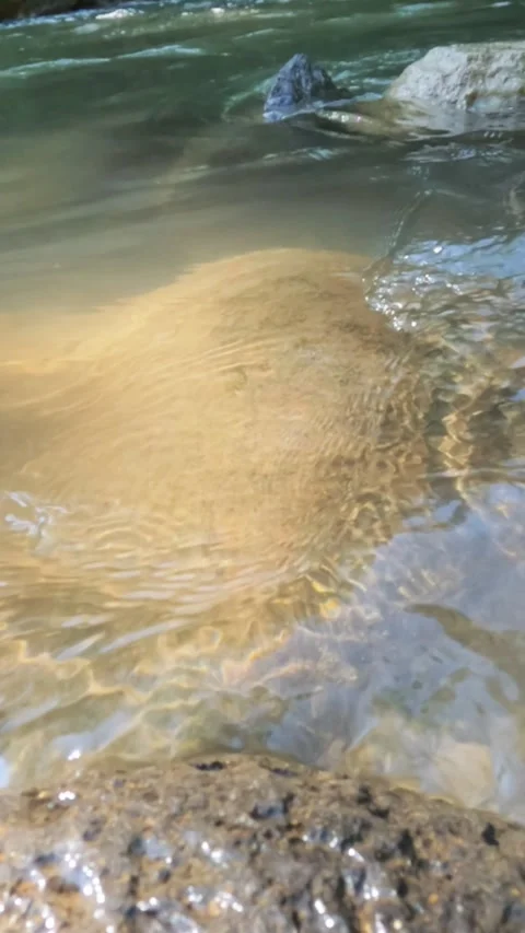 Vertical view slow motion of a shallow mountain river flowing clear Stock Footage 319885296