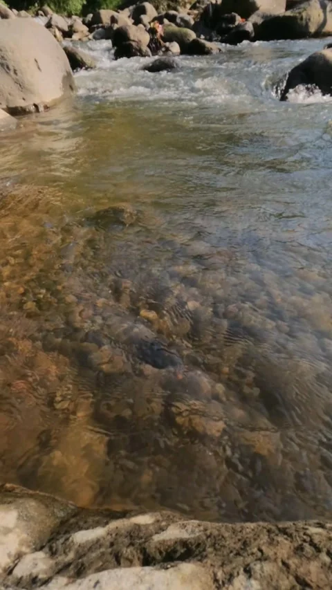 Vertical view slow motion of a shallow mountain river flowing clear Видео 319885316