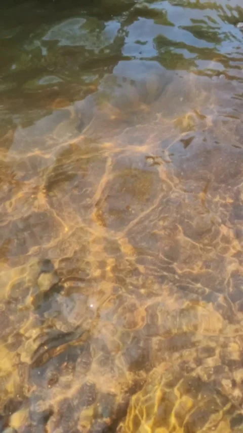 Vertical view slow motion of sparkling sunlight on the bottom of  clear river Stock Footage 319885962