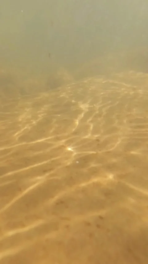 Vertical view slow motion of sparkling sunlight on the bottom of  clear river Video stock 319885978