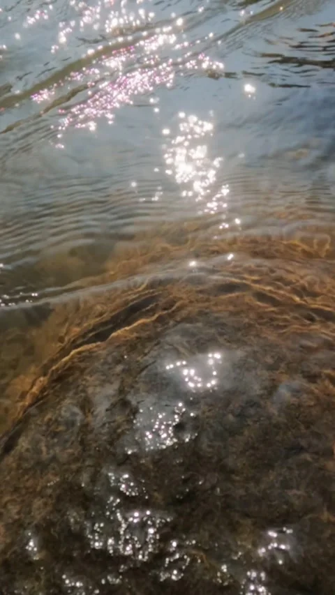 Vertical view slow motion of sparkling mountain river water surface Video stock 319885980