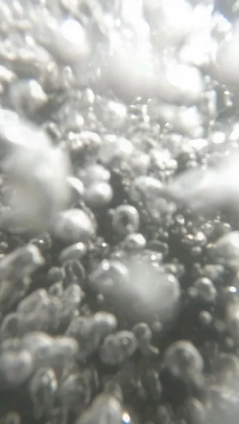 Vertical view slow motion underwater river shot Stock Footage 319885982