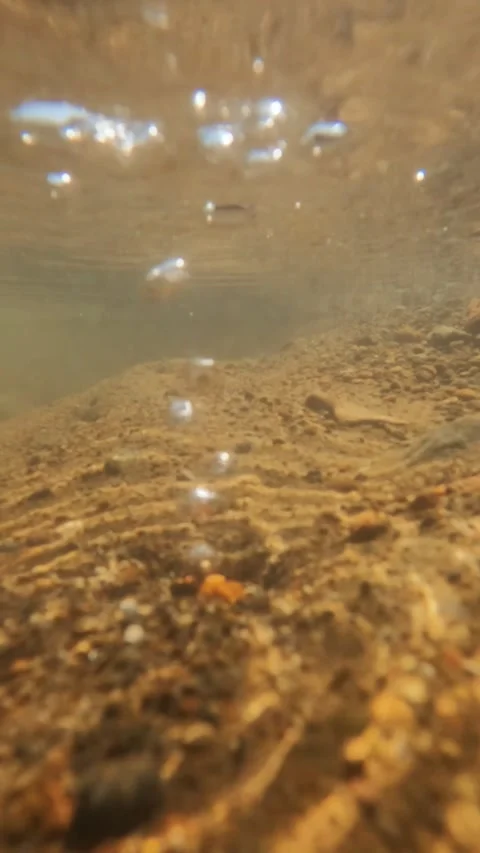 Vertical view slow motion underwater bubbles of river springs Video stock 319886176