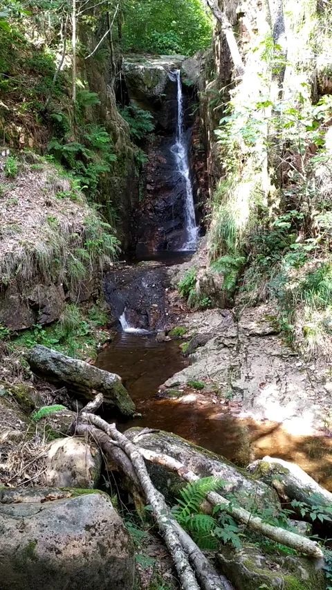 Vertical view of a small waterfall between rocky walls cove Stock Footage 150861989
