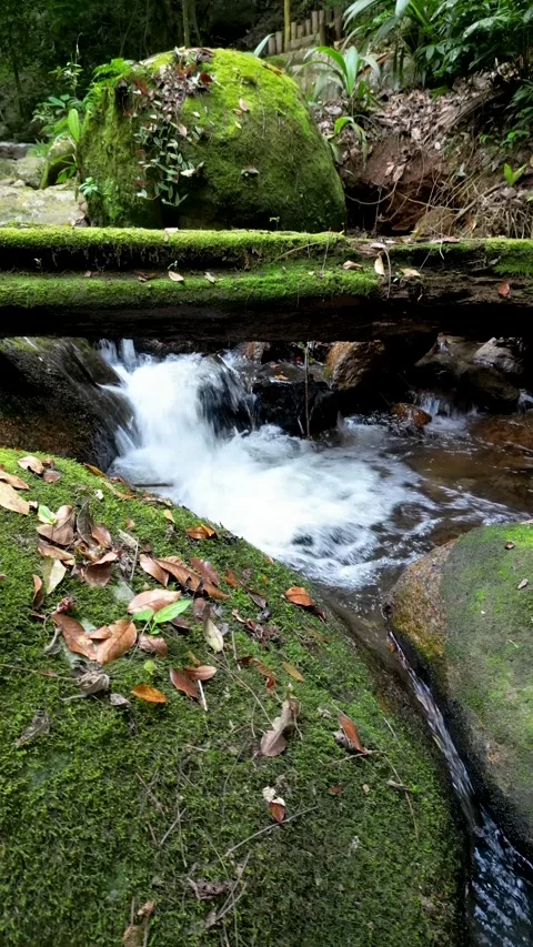 Vertical View of a Small Waterfall in the Tropical Rainforest Vídeos de archivo 334617155