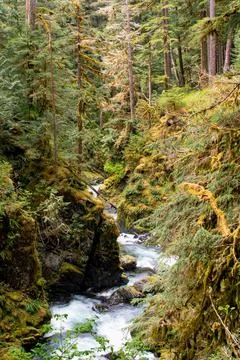 Vertical view of Sol Duc River in a canyon in Olympic National Park Stock Photos