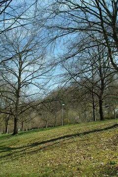 Vertical View of Spring Park in Pforzheim Germany with Tall Deciduous Trees.. Stock Photos