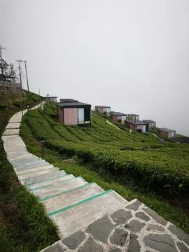 Vertical View of Stairway Path to Cabins in Morning Fog Stock Photos
