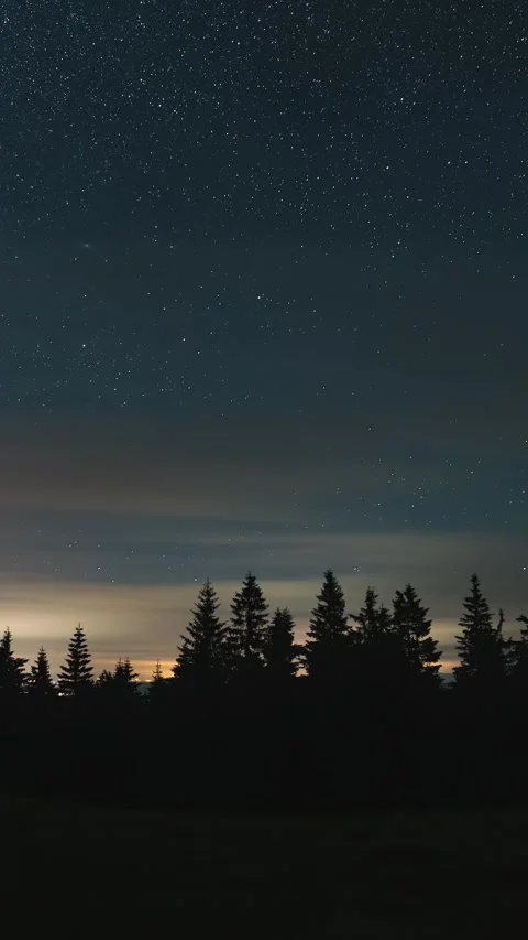 Vertical View of Starry Night Sky Over Forest with Moving Clouds in Summer Time Stock Footage 313197040