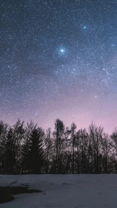 Vertical view of stars over winter forest, astronomy time lapse Stock Footage 307697694