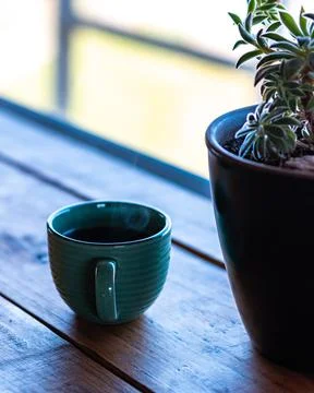 Vertical view of a steaming cup of coffee on a wooden table and a succulent p Stock Photos