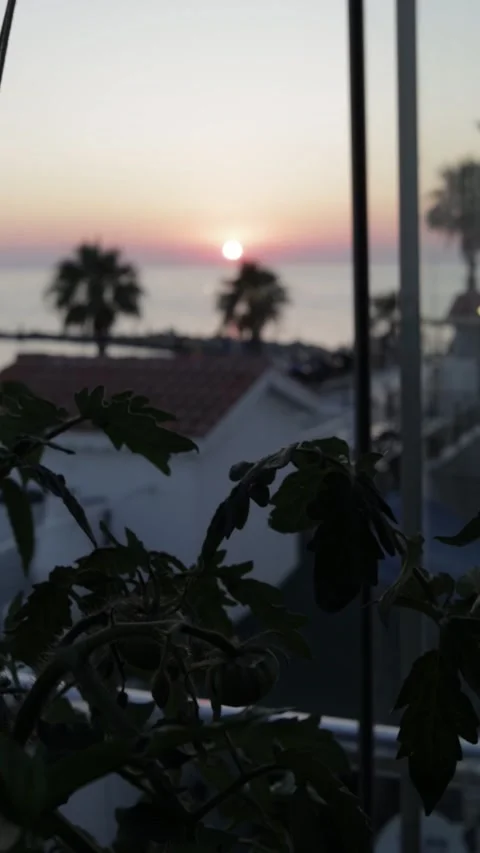 Vertical View by Summer House, Transition from Plant to Sunset (Slow Motion) Stock Footage 266906156