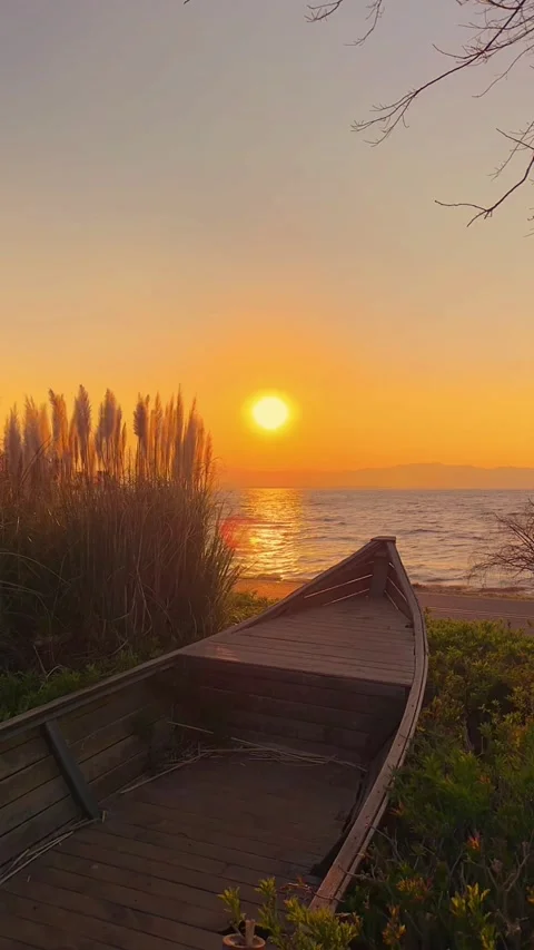 Vertical View Sunset over Calm Lake with an Old Wooden Boat and Swaying Reed Stock Footage 330149219