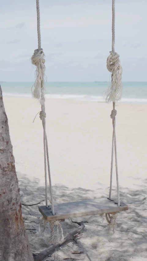 Vertical view of a swinging rope swing under the tree at the ocean seaside Stock Footage 338242200