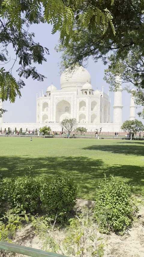 Vertical view of Taj Mahal framed by green trees and gardens in Agra India Vídeos de archivo 343150168