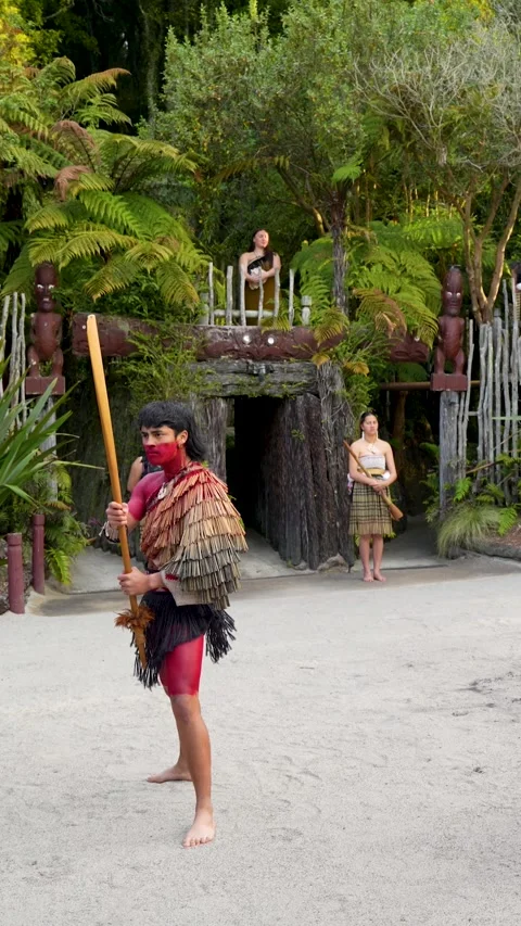 Vertical View Of Te Pa Tu, Traditional Maori Haka Welcome Ceremony In Rotorua Stock Footage 329286341
