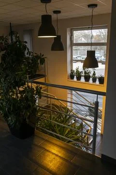 Vertical View of Technocar Kft Staircase with Plants Stock Photos