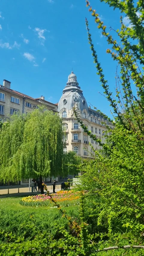 Vertical view through a lush green park and colorful flower garden toward a Stock Footage 328275053