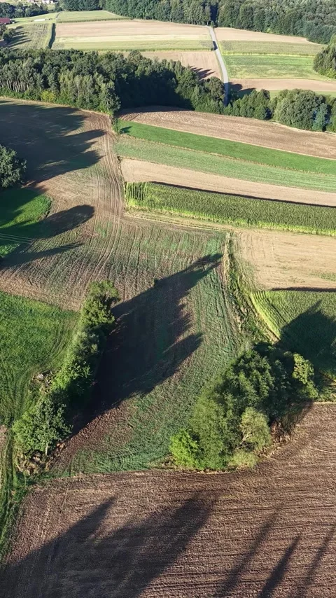 Vertical view. Top-down view of agricultural fields near a small village Stock Footage 348631334