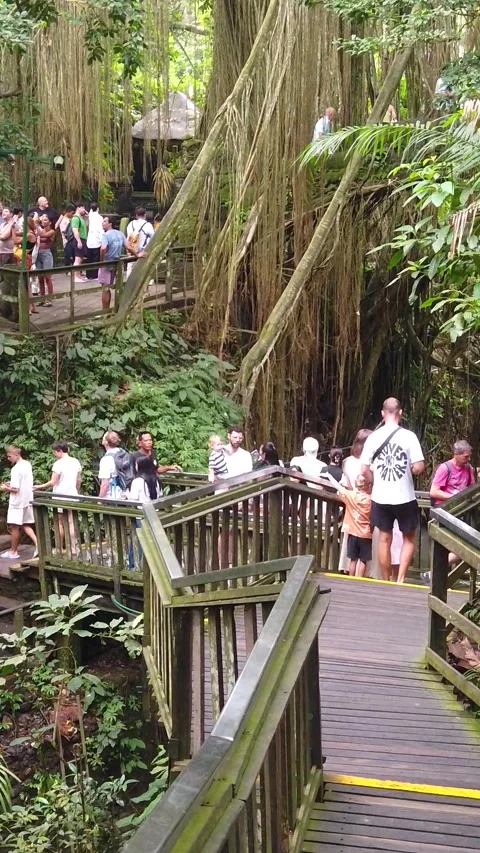 Vertical View of Tourist Crowd on Boardwalk at Ubud Monkey Forest Bali Indonesia Stock Footage 340766757