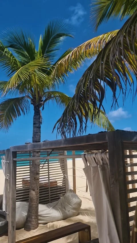 Vertical View of Tropical Paradise, Beach Cabana Under Palm Trees, White Sand Stock-Footage 344401358