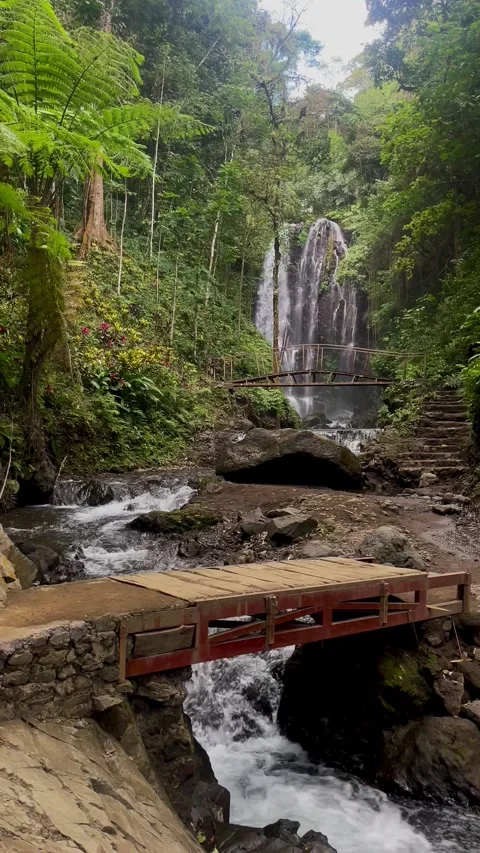 Vertical View Of Tropical Waterfall And Wooden Bridge In Bali Forest 動画素材 342194841