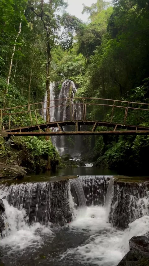 Vertical View Of Tropical Waterfall And Bridge Over Cascade In Bali Stock Footage 342194866