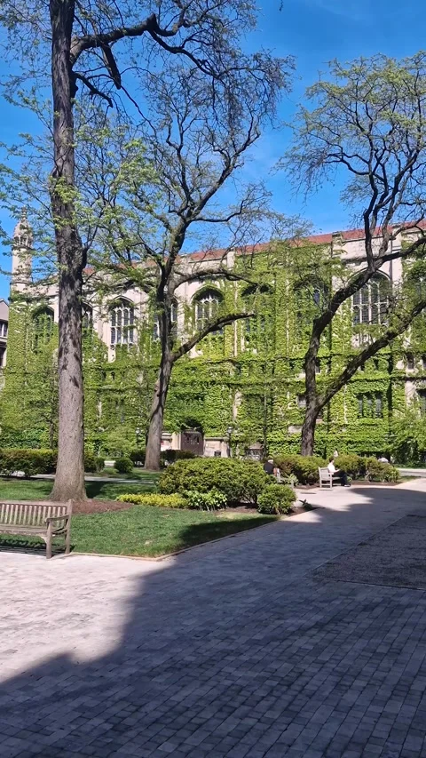 Vertical View of University of Chicago Campus Buildings With Climbing Pants and Stock Footage 325833691