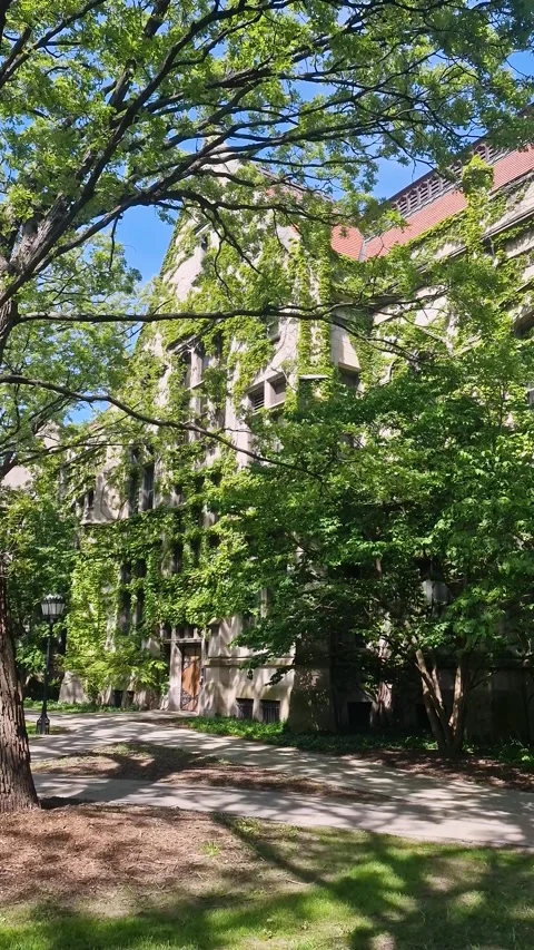 Vertical View, University of Chicago Campus, Old Buildings With Vines and Green Stock Footage 327455210