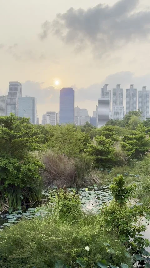 Vertical View of Urban Oasis and City Skyline at Sunset Stock Footage 338428962