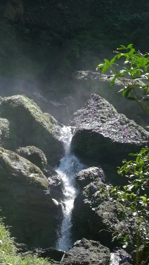 Vertical view of water flow in waterfall in tropical rainforest mountains Stock Footage 319879586