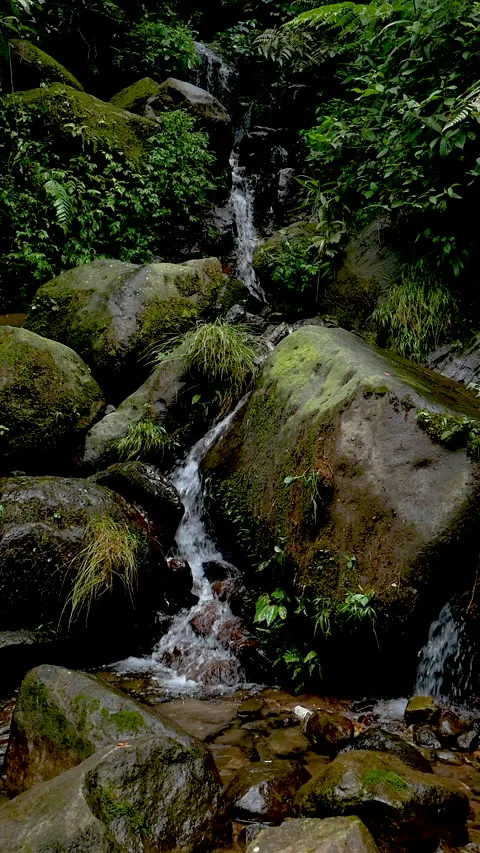 Vertical view of water flowing Stock Footage 329013615
