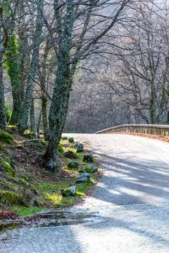 Vertical view of where a stone road ends and a mountain road begins with a be Stock Photos