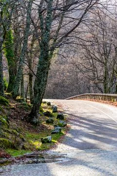 Vertical view of where a stone road ends and a mountain road begins with a be Stock Photos