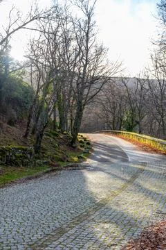Vertical view of where a stone road ends and a mountain road begins with a be Stock Photos
