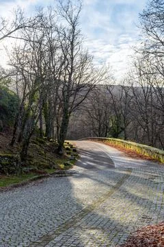 Vertical view of where a stone road ends and a mountain road begins with a be Stock Photos